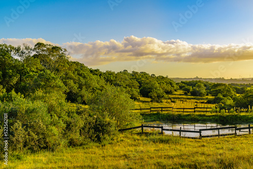 Uruguay countryside landscape photo