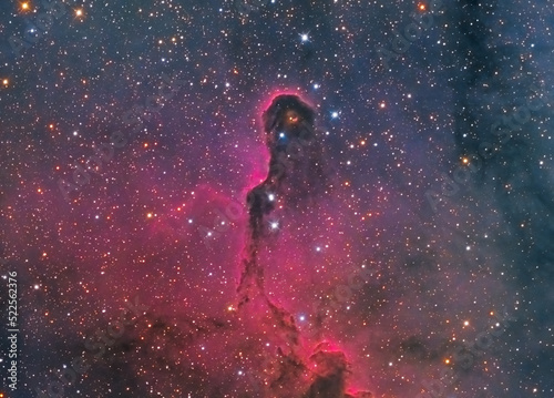 The elephant trunk nebula also known as vdB 142 in the Cepheus constellation. All around the hydrogen gas.