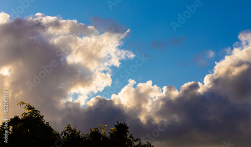 Clouds in dramatic blue sky. © Sunshine Seeds