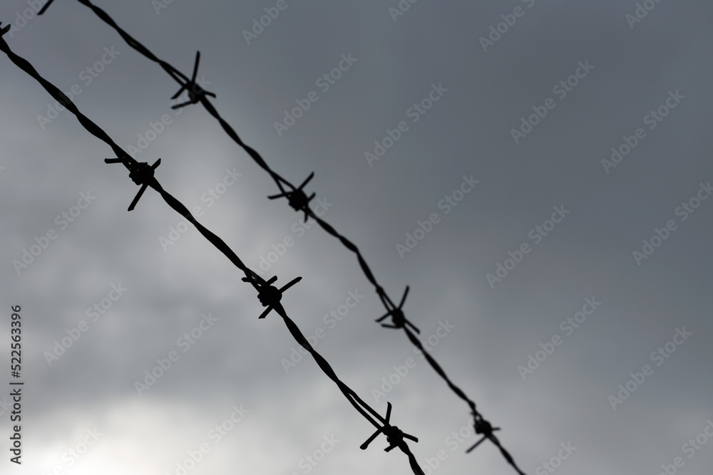 The barbed wire fence and the sky felt like it was blocked. The barbed wire fence and the sky felt like it was blocked.