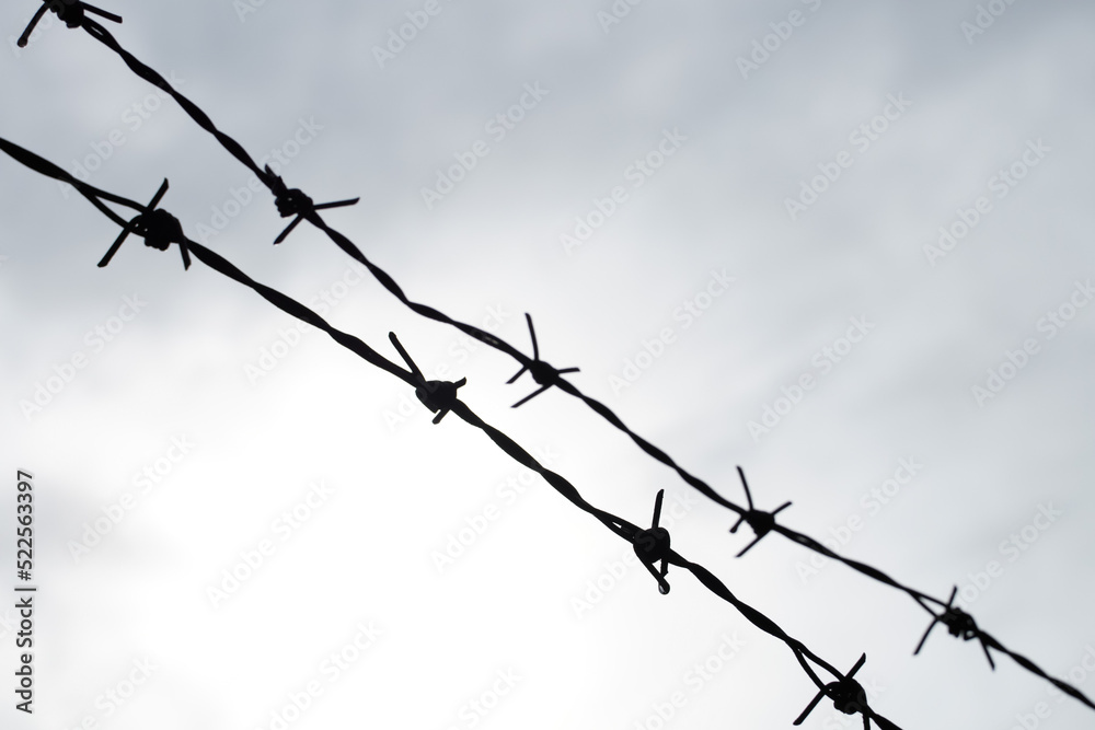 The barbed wire fence and the sky felt like it was blocked. The barbed wire fence and the sky felt like it was blocked.