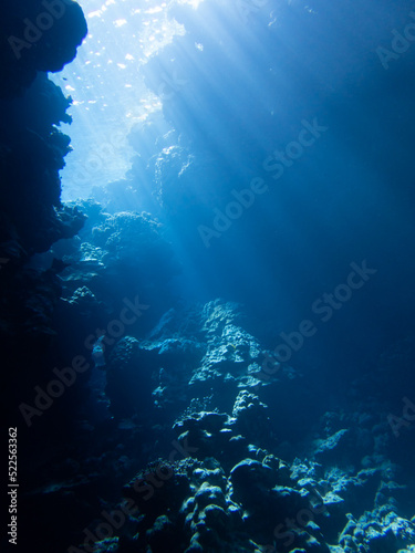 Diving caves in egypt © Niklas