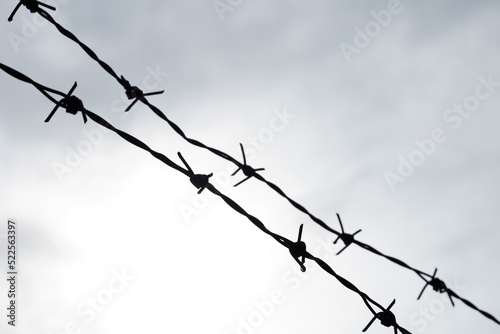 The barbed wire fence and the sky felt like it was blocked.