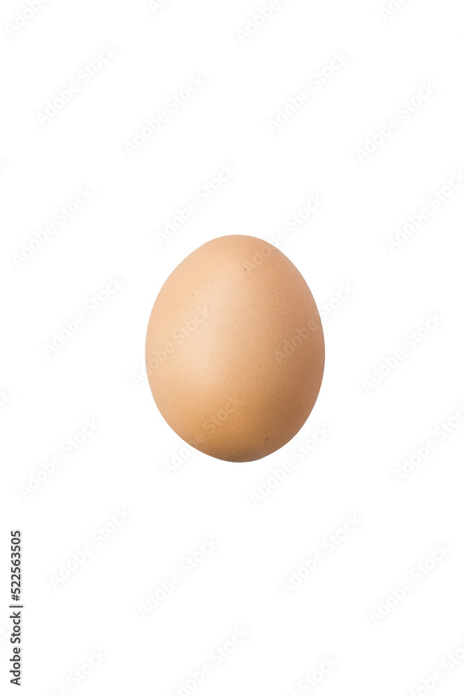 Rhode Island Red Chick EGG on white clear background. Clipping Paths. Rhode Island Red Chick EGG on white clear background. Clipping Paths.