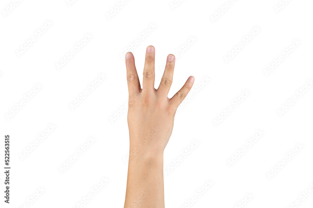 Asian back hand shows and counts 4 (four) sign on finger on isolated white background. Clipping path Asian back hand shows and counts 4 (four) sign on finger on isolated white background. Clipping path