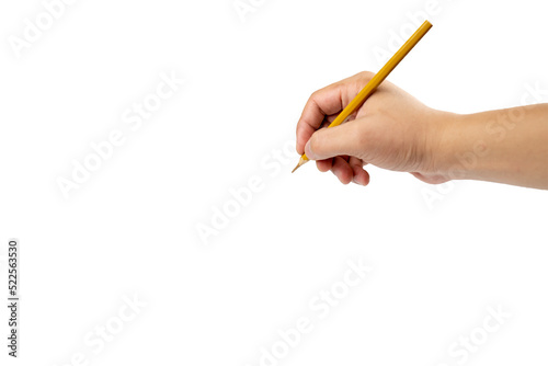 Quadro su tela Isolated Asian man's right hand holds one colour pencil for drawing and painting somthing on white background