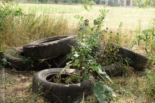 SHINES OF THE MACHINE FROM WHICH THE WEEDS GREW