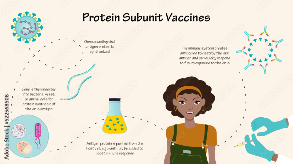 Protein Subunit Vaccine Infographic Stock Vector Adobe Stock Protein Subunit Vaccine Infographic Stock Vector Adobe Stock