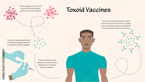 Toxoid Vaccine Infographic