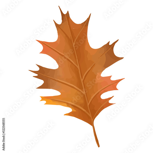 Watercolor Leaf, Autumn leaves clipart.