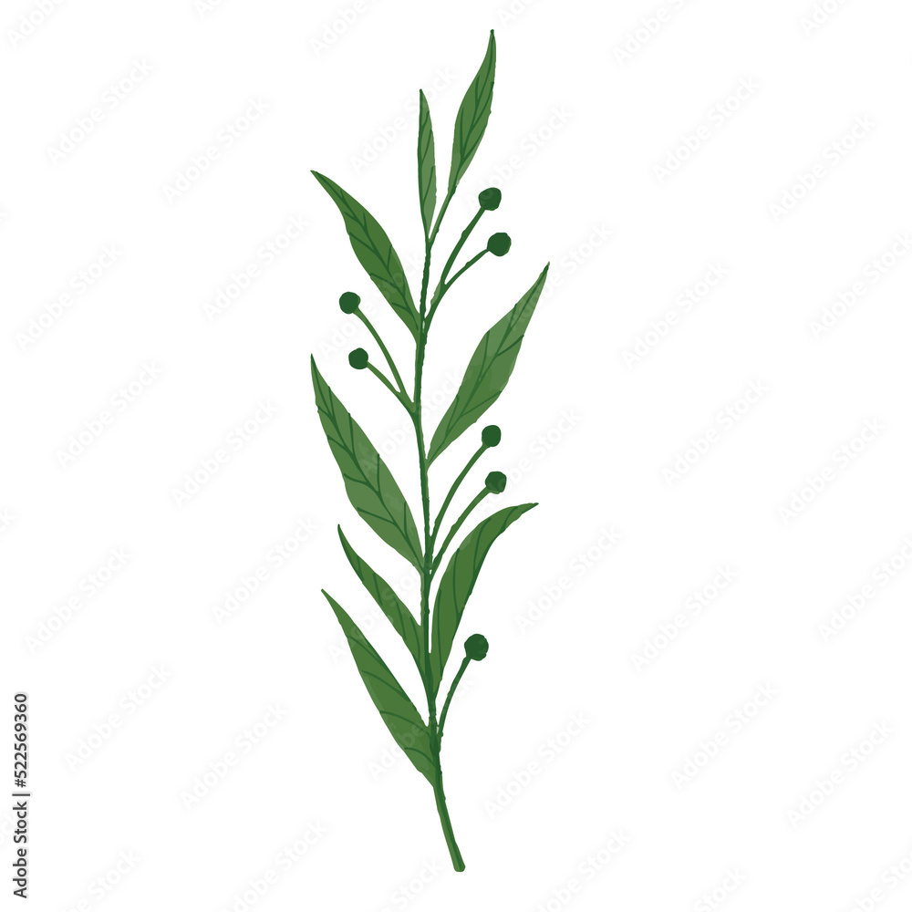 Watercolor Leaf, Green leaves clipart.