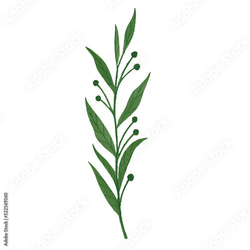 Watercolor Leaf  Green leaves clipart.