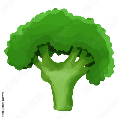 Watercolor Broccoli, Hand painted vegetables clipart.
