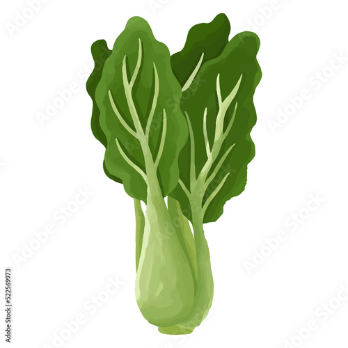 Watercolor Kale, Hand painted vegetables clipart.