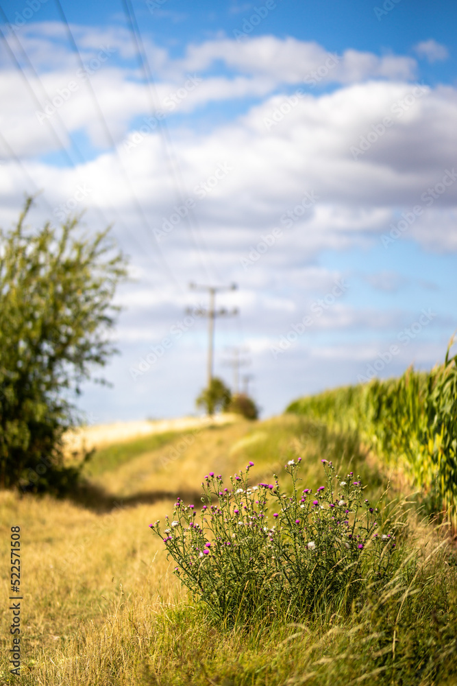 Strommasten vor blauem Himmel mit weisen Wolken Strommasten vor blauem Himmel mit weisen Wolken
