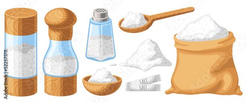 Cartoon salt. Wooden shaker, spoon and bowl. Bag of sugar or baking soda, cooking ingredients vector illustration set