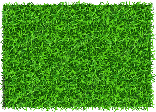 Green grass rectangle. Realistic lawn patch top view