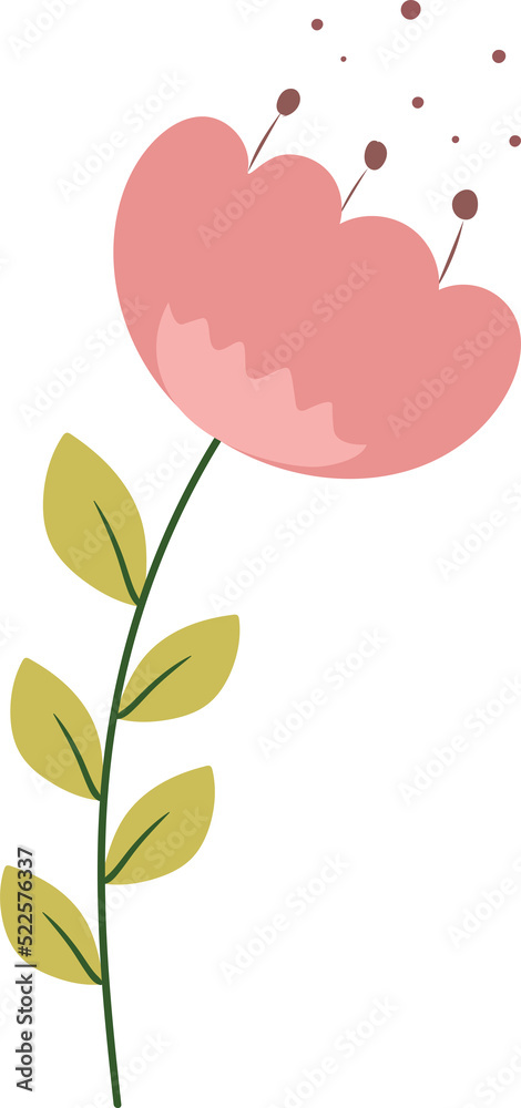 flower illustrator