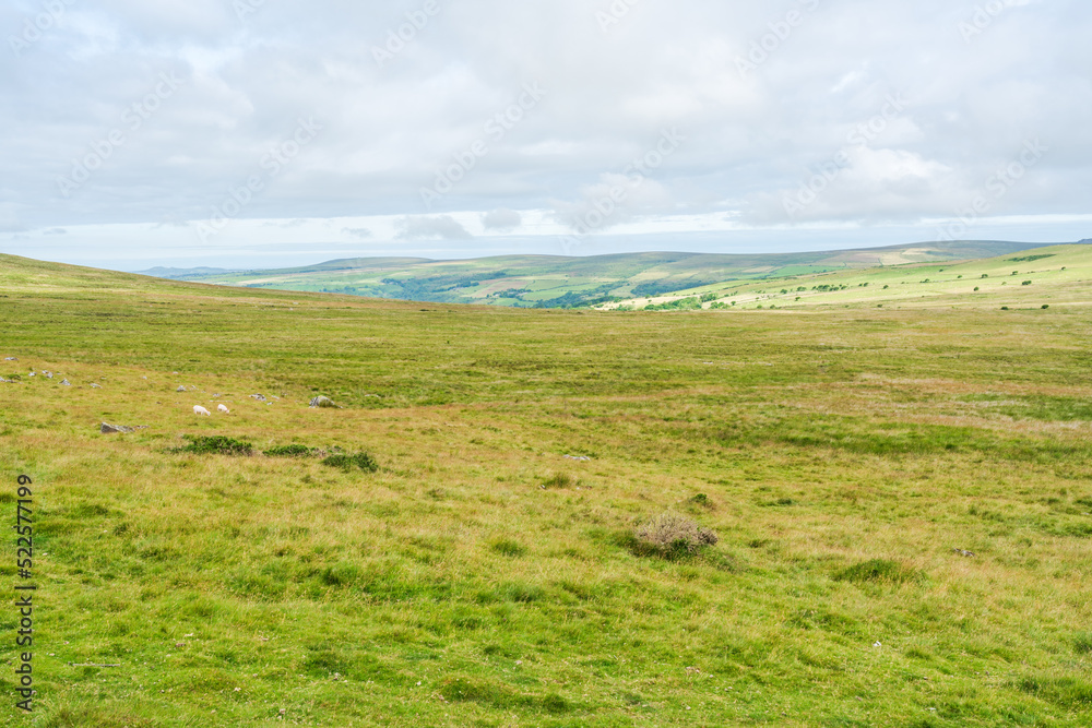 View of countryside in rural Pembrokshire near Marloes, Wales