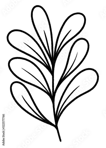 hand drawn tropical leaves style modern line art
