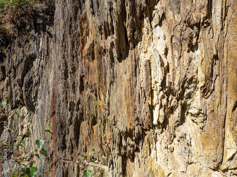 Textura rugosa de una piedra con varios colores y formas, en otoño de ...