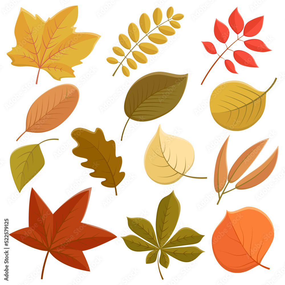 vector set of autumn leaves