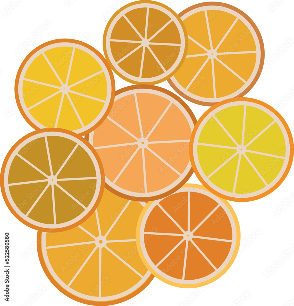 vector drawing of orange slices vector drawing of orange slices