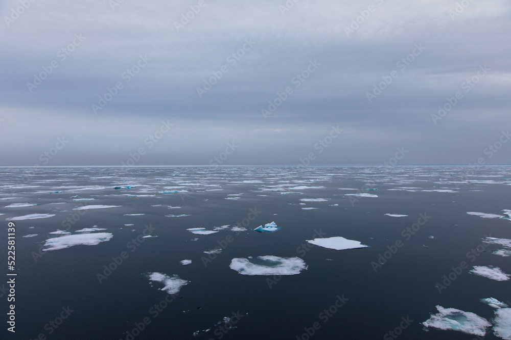 Drifting pack ice in the Arctic Ocean. The snow-capped blue glacial ice is a pristine wilderness, but one that is rapidly melting due to climate change. Nordaustlandet, Svalbard, Norway