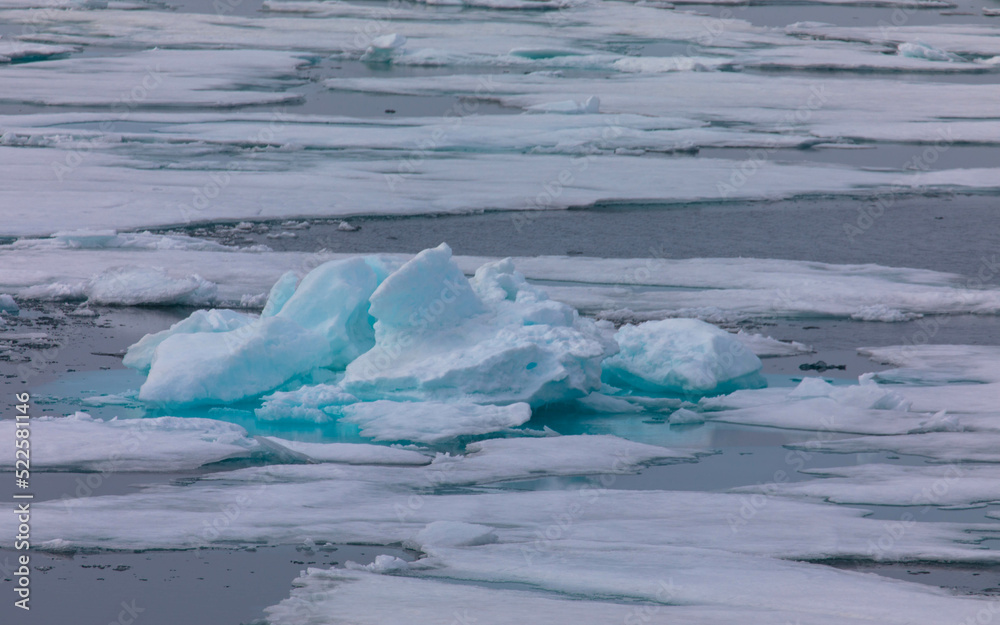 Drifting pack ice in the Arctic Ocean. The snow-capped blue glacial ice is a pristine wilderness, but one that is rapidly melting due to climate change. Nordaustlandet, Svalbard, Norway Drifting pack ice in the Arctic Ocean. The snow-capped blue glacial ice is a pristine wilderness, but one that is rapidly melting due to climate change. Nordaustlandet, Svalbard, Norway