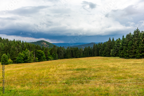 Sommerliche Entdeckungstour durch den Th  ringer Wald bei Brotterode - Th  ringen