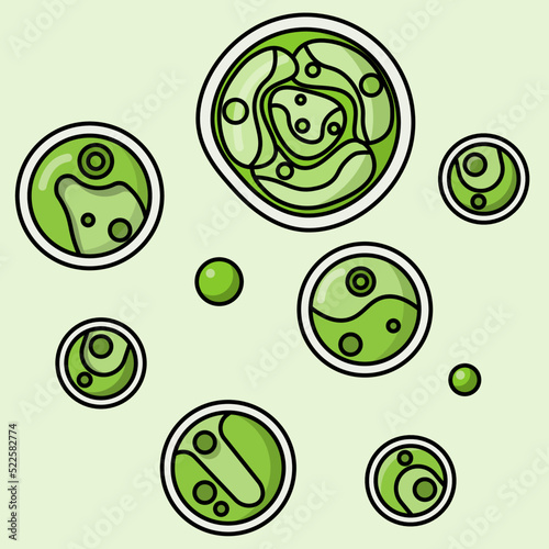The green cellular microalga Chlorella is widely sold as a health food, food supplement, and nutraceutical. It is a cosmopolitan genus with small globular cells (about 2-10 μm diam.)