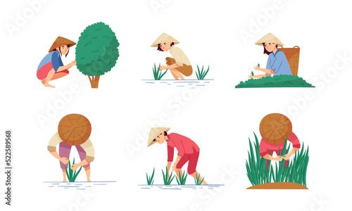 Asian Farmers in Straw Conical Hat Working on Field Vector Set
