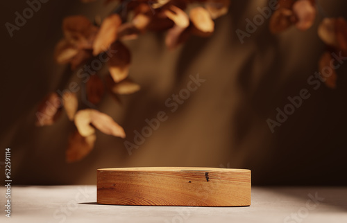 Fototapeta Naklejka Na Ścianę i Meble -  3D background, wood podium display set . Natural nude, beige banner backdrop with branch shadow. Product promotion Beauty cosmetic, nature dry autumn leaf. Wooden stand studio empty Minimal 3D render