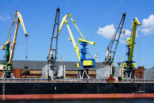 View of many cranes in the port on blue sky background