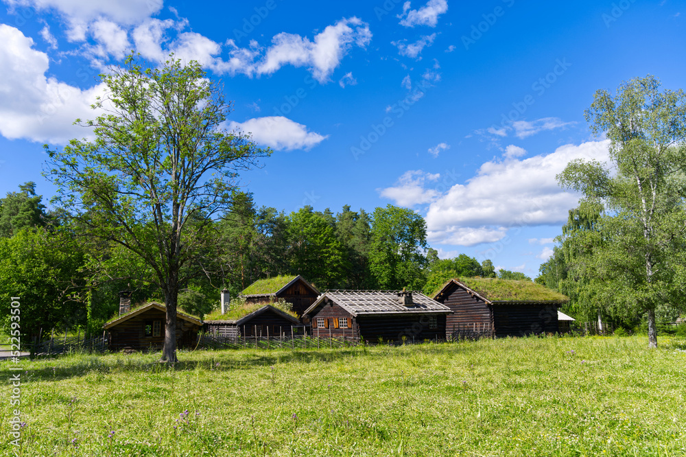 Old houses in the open-air museum in Norway, wooden walls and grass roof