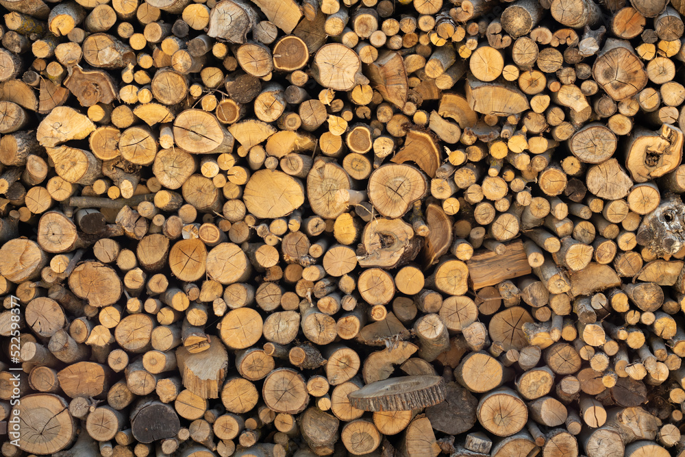 Cross section of tree trunks background. Cutting tree trunks placed together for interior decorate, background Cross section of tree trunks background. Cutting tree trunks placed together for interior decorate, background
