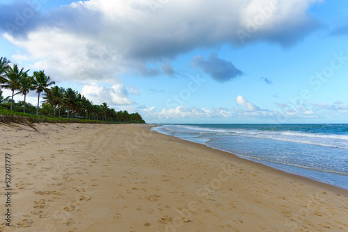 linda praia vazia  com coqueiros  c  u azul. Paisagem de ver  o