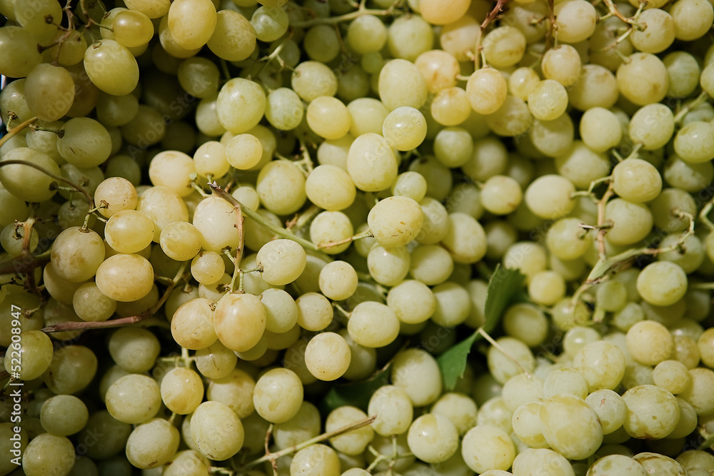 Ripe green grapes close-up background or texture. Grapes harvest, many green grapes Ripe green grapes close-up background or texture. Grapes harvest, many green grapes