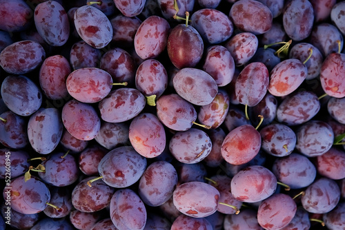 Foto Ripe blue plum close-up background or texture