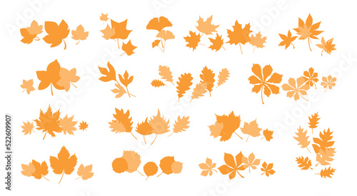 Set of autumn leaves combination, herbal elements. Collection of fall orange leaves. Can be used as decorations for Back to School, Halloween or Thanksgiving. Autumn botanical leaves for design decor.