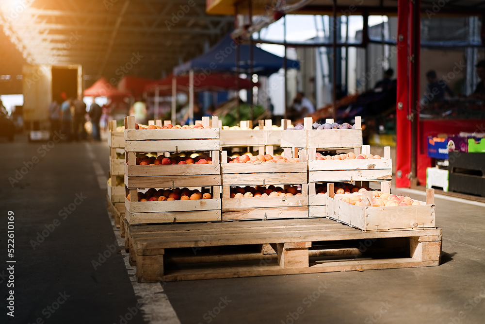 Fresh apricot fruit boxes sold in the market. Apricots harvest, many fresh apricot Fresh apricot fruit boxes sold in the market. Apricots harvest, many fresh apricot