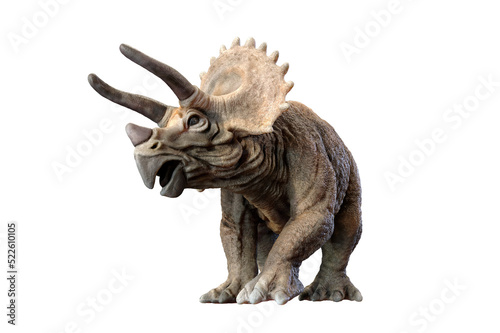 triceratops dinosaur on transparent background PNG 3d rendering