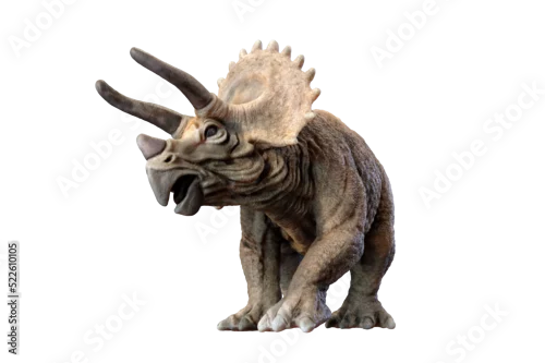 Fototapeta na wymiar triceratops dinosaur cutout on transparent background premium PNG 3d rendering