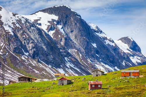 Obraz na płótnie Red Rorbus in Hardanger conservation area, Norway, Scandinavia w salonie
