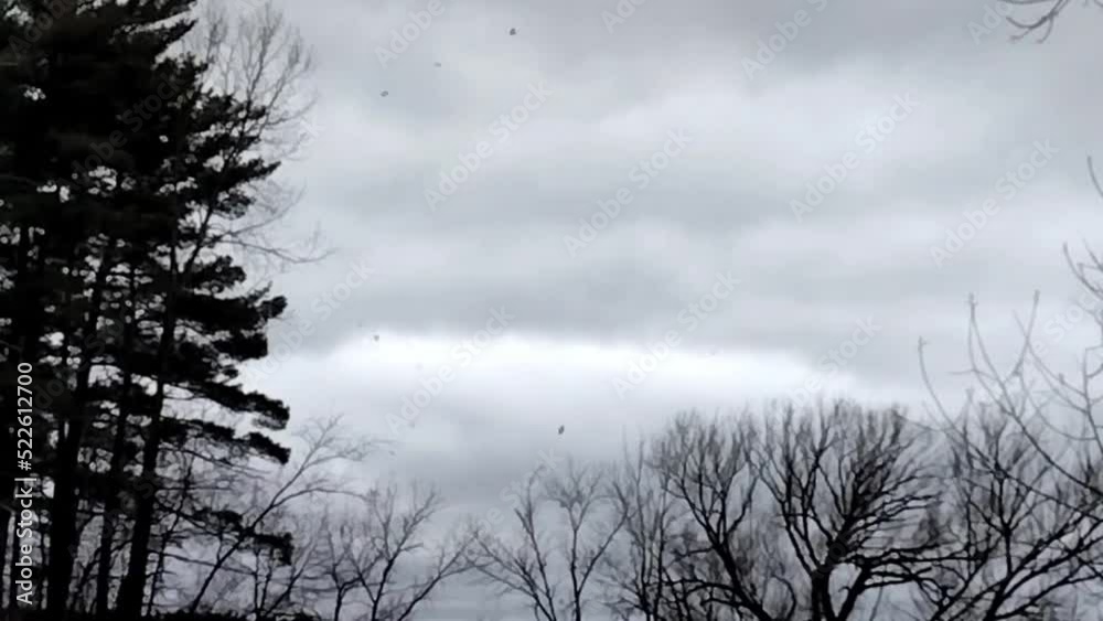 A flock of Swallows fill the sky on a cold windy overcast day. A flock of Swallows fill the sky on a cold windy overcast day.