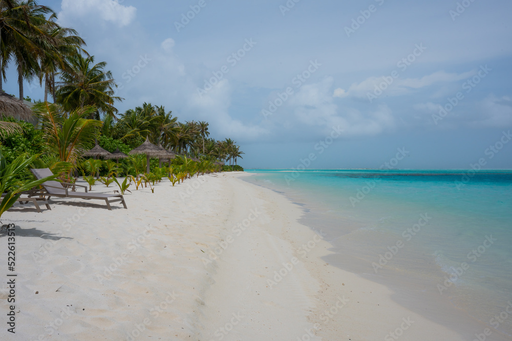 tropical beach with palm trees, white sand and turquoise blue water
