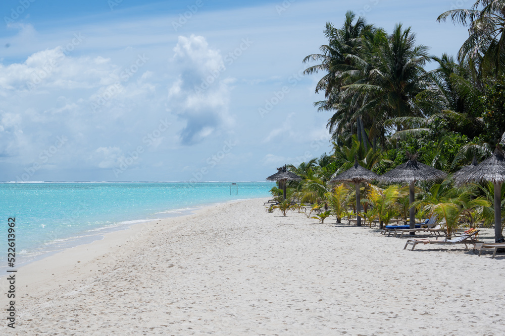 Beautiful tropical beach at exotic island with palm trees