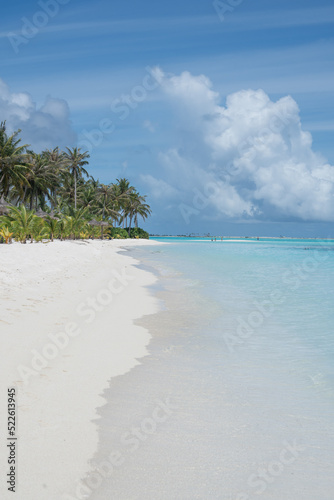 Fototapeta Naklejka Na Ścianę i Meble -  Beautiful Bay on Tropical Paradise with turquoise waters on Maldives Island