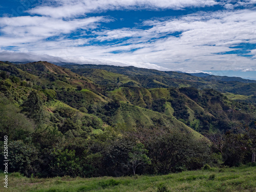 Forêt du Costa Rica