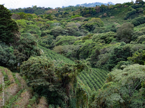 Paysages de la région de Monteverde